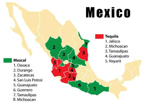 Diferencia entre Tequila y Mezcal