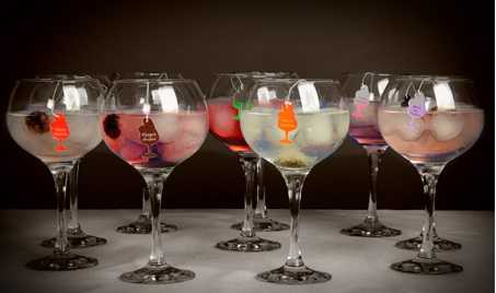 Infugintonic y Vinopremier crean el gin&tonic perfecto
