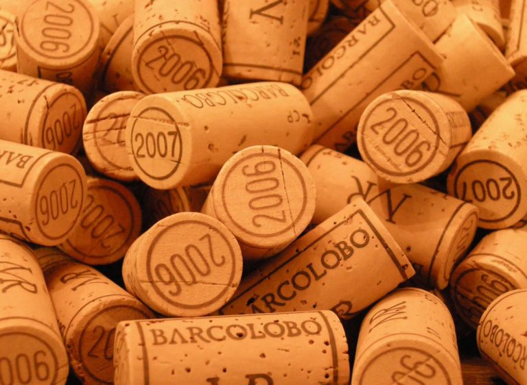 Barcolobo: vinos artesanales de Castilla y León
