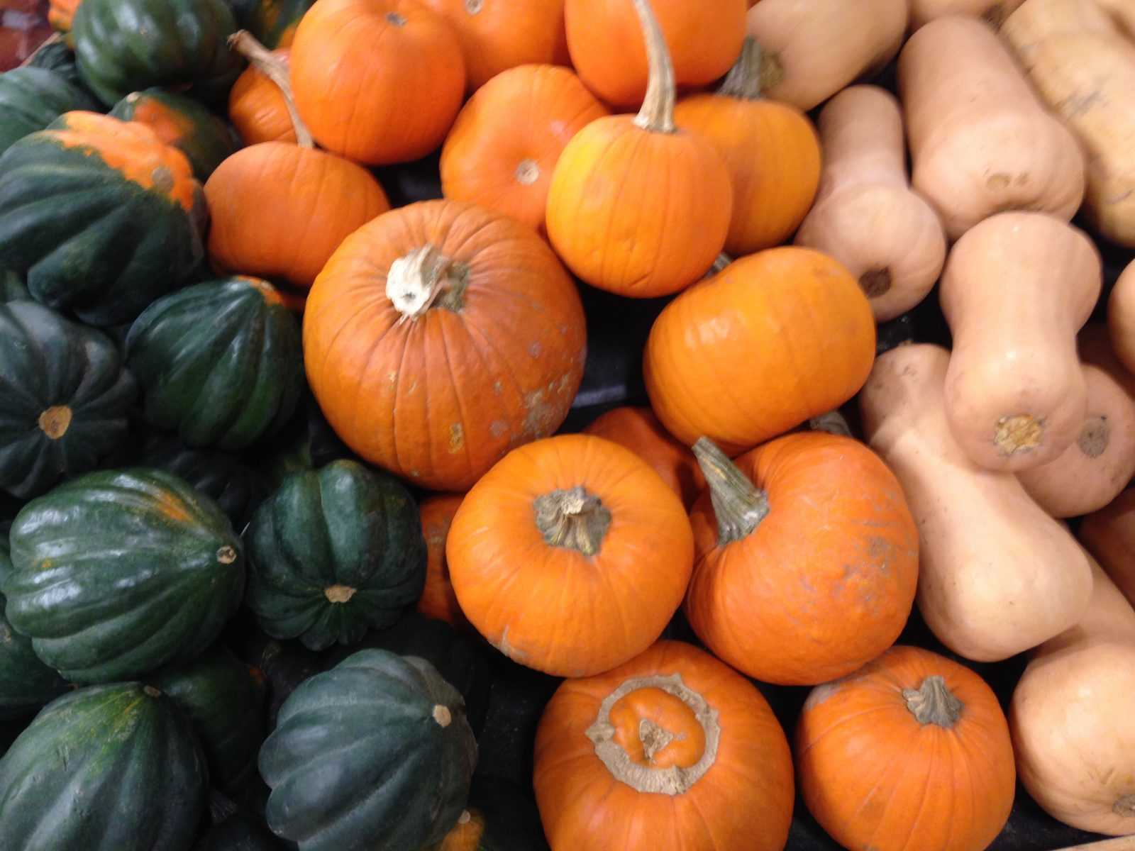 pumpkins and squash display