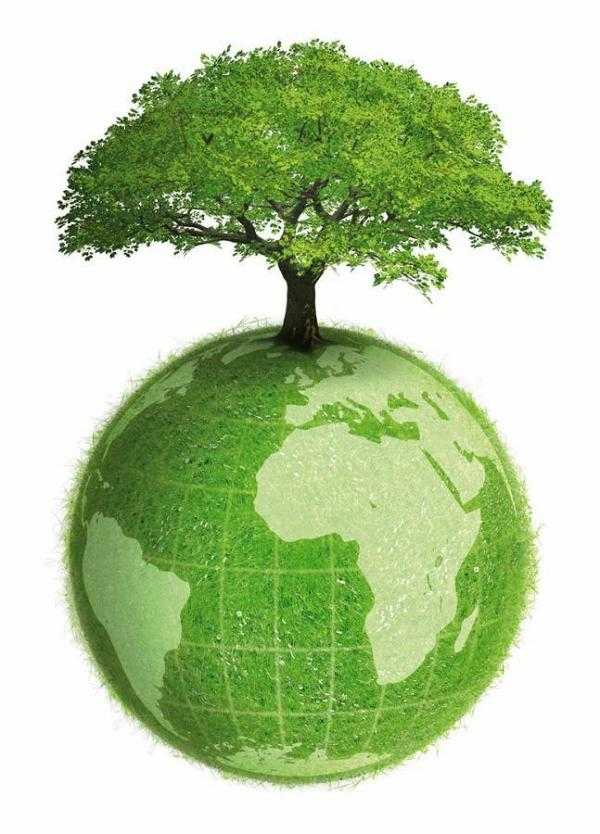 Vino ecológico para el Día Mundial del Medio Ambiente