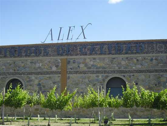 De un viñedo singular, en la confluencia de dos valles así son los vinos de Bodegas Alex