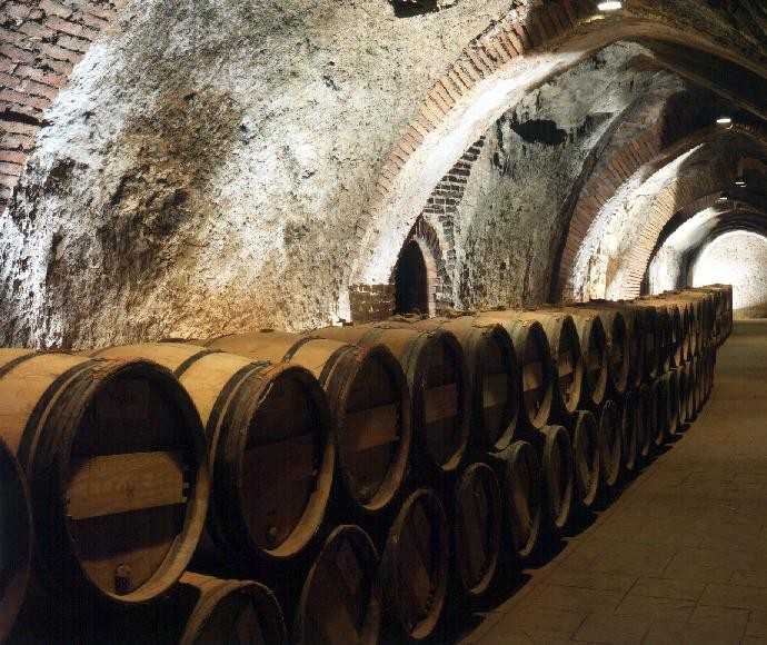 Nos adentramos en Bodegas Felix Sanz-Viña Cimbrón para enamorarnos de sus vinos y su tierra • BODEGA