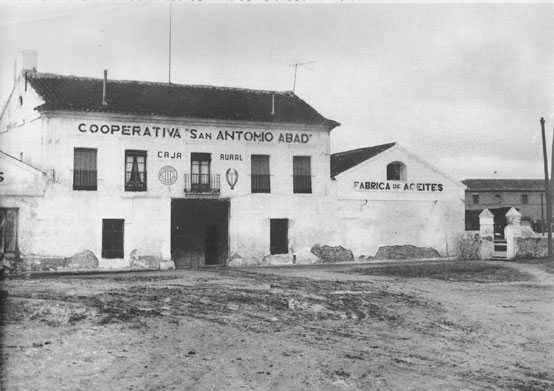 Bodega San Antonio Abad: Historia