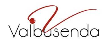 Valbusenda-bodegas-blog-vinopremier