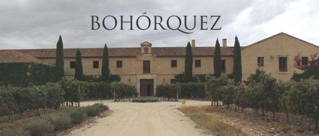 Bodega Bohórquez: Elegancia, sutileza, mineralidad.