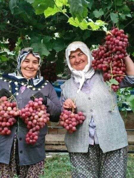 Las madres del vino - blog de vinos con Carla