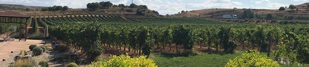 belmonte - vinopremier