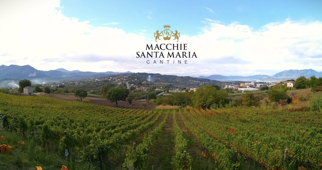 Macchie Santa Maria Cantine, Descubre Vino Italiano