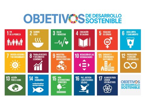 respeto del medio ambiente 