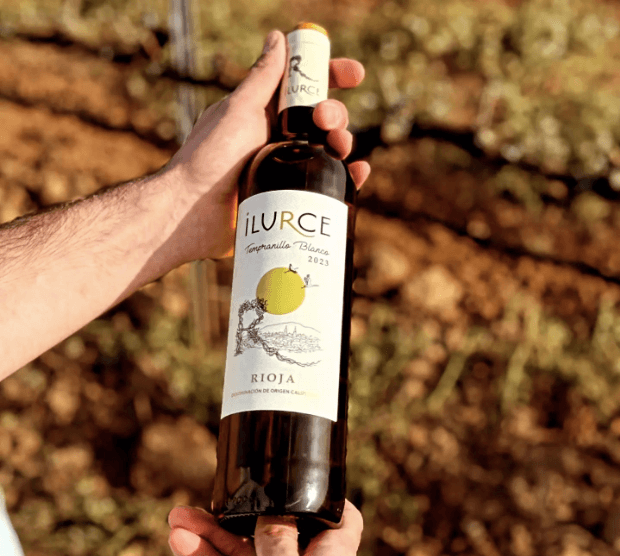 Nuevo Vino Blanco Ilurce – D.O.Ca Rioja