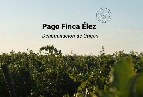 Pago Finca Élez: Un Tesoro en Albacete