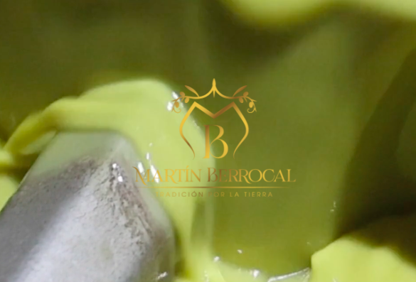 AOVE Martín Berrocal: tradición y excelencia