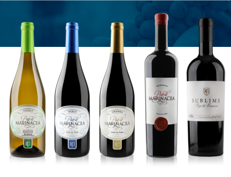 Pago de Marinacea | Viñedos centenarios