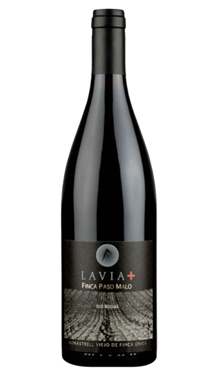 Comprar Vino tinto Lavia + Finca Paso Malo - tienda de vinos Vinopremier