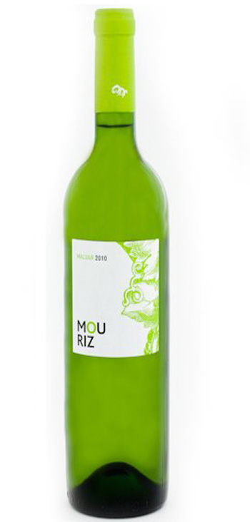 Solera Bodegas