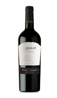 Viña Ventisquero