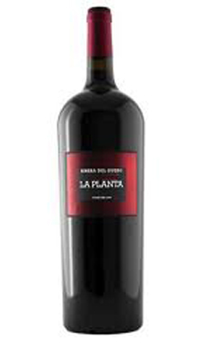 Red Wine La Planta de Arzuaga Magnum 1,5 Litros