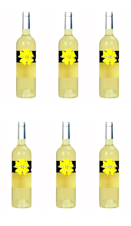 Bodegas Farrán Diez