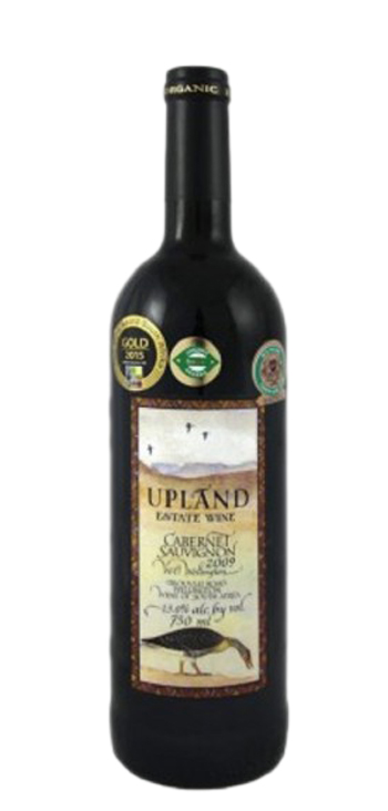Wines and Vinos