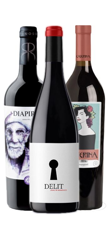 Método ajo módulo Pack Cata Monastrell Ruta del Vino de Alicante - Packs de Vino para Regalo  - Vinos