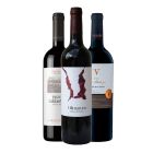 Packs de Vino para Regalo PACK TOP RIBERA DEL DUERO