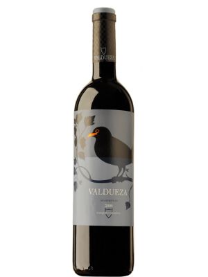 Red Wine Valdueza