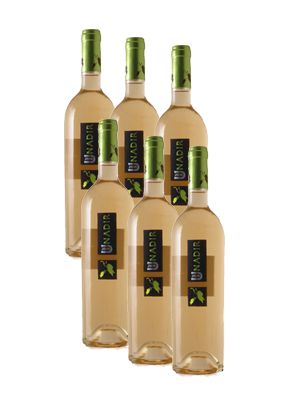 Vino Blanco Pago de Las Encomiendas Unadir - 6 Botellas