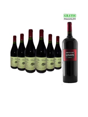 6 Botellas Alta Pavina Pinot Noir Citius + Mágnum 