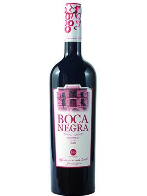 Red Wine Bocanegra Crianza