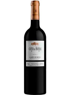 Red Wine Coto de Hayas Reserva