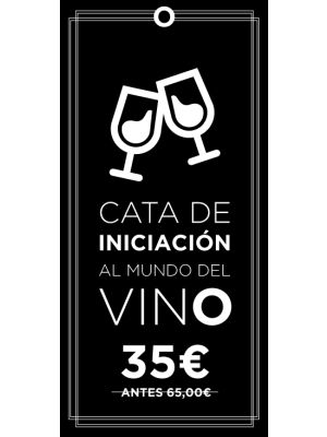 Cata de Iniciación al mundo del vino + Degustación de Ibéricos en Mallorca - Palma