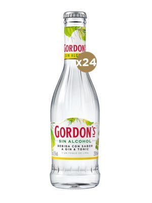 Gin Gordon's Lime 25CL 24 Unidades