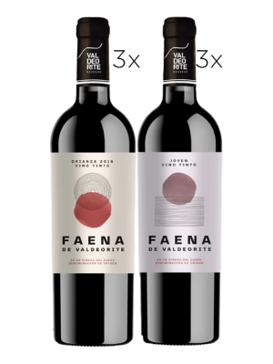 Pack de 6 Vinos de Ribera del Duero