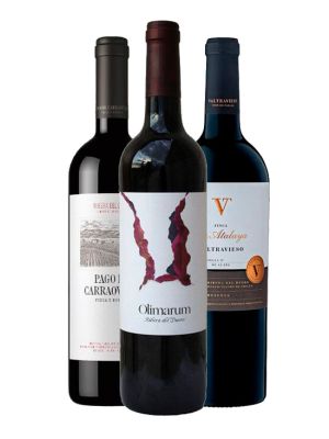 PACK TOP RIBERA DEL DUERO