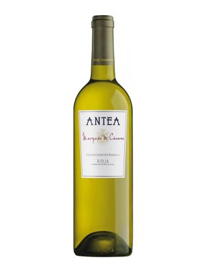Vin Blanc Antea Marqués de Cáceres