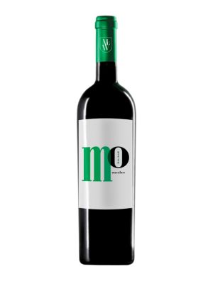 Vin Blanc Mo Salinas