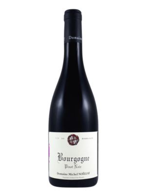 Vin Rouge Bourgogne Pinot Noir