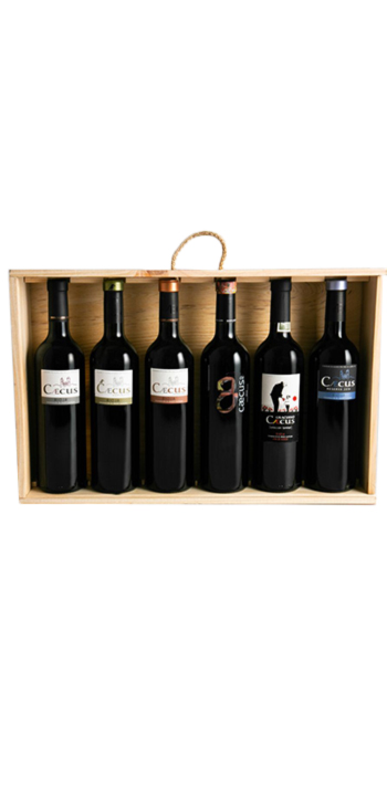 Pack de 6 Vinos Caecus de Bodega Pago de Larrea