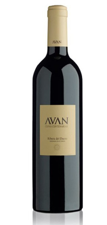 Bodegas y Viñedos Juan Manuel Burgos